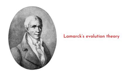 Lamarck’s evolution theory or Lamarckism - sciencequery.com