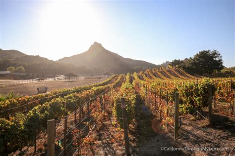 Malibu Wine Hikes: Meeting Stanley the Giraffe at Saddlerock Ranch | California Through My Lens