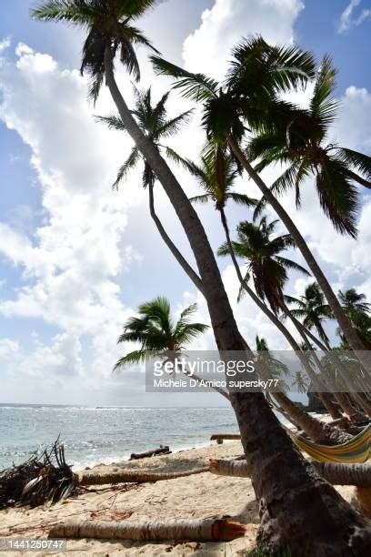 152 Samana Bay Stock Photos, High-Res Pictures, and Images - Getty Images