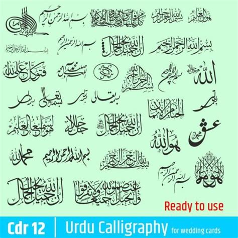 Top islamic Urdu Calligraphy collection cdr12 trbahadurpur