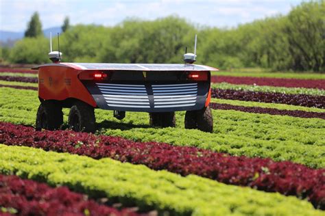 Advancing robotics in the Australian vegetable industry | AUSVEG