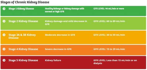 Protect Your Kidneys - Dr. Cheryl Kasdorf, ND