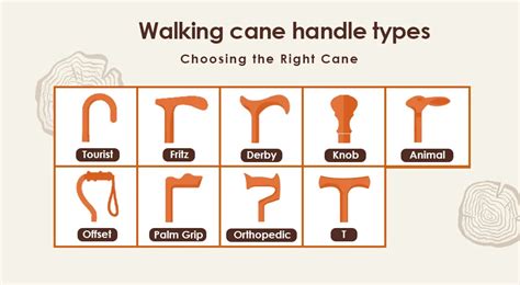 Walking Cane & Stick Handle Types Walking canes are valuable mobility aids that provide support ...