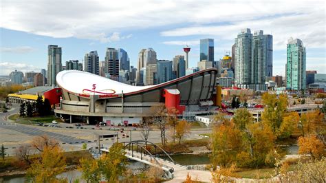 Scotiabank Saddledome & the Calgary Skyline wallpaper - backiee