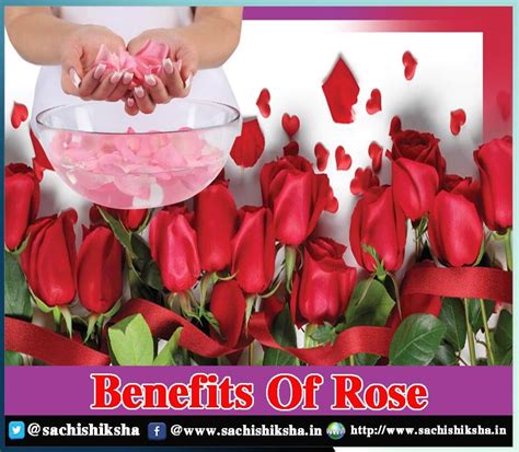 Benefits Of Rose | SACHI SHIKSHA - Magazine in India