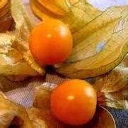 Propiedades útiles de Physalis