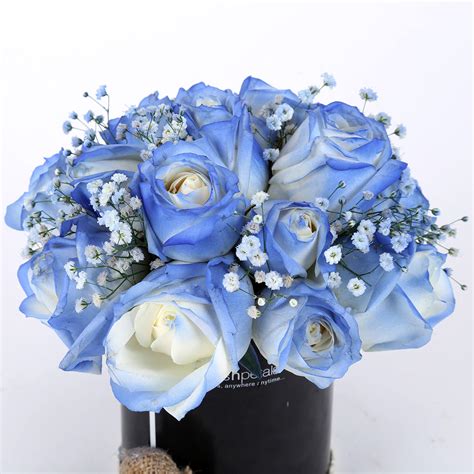 Buy/Send Shaded Love- Blue Roses Arrangement Online- Ferns N Petals