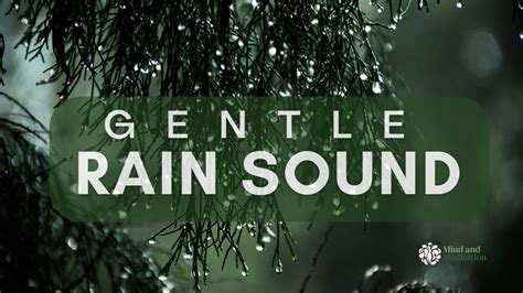 Gentle Rain Sounds - Relaxing Rainfall White Noise That Would Make You ...