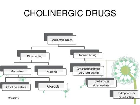 Cholinergic drugs