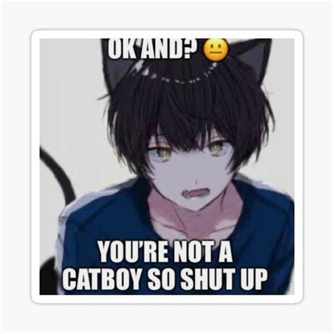 "catboy" Sticker by amaya0566 | Redbubble