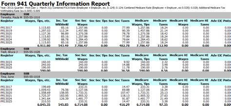 PY Form 941 Quarterly Information Report