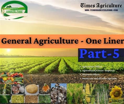 Industrial Revolution and its Impact on Agriculture - Times Agriculture