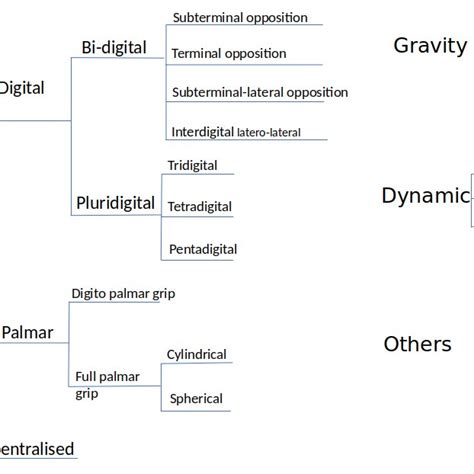 Human hand grip types [46]. | Download Scientific Diagram