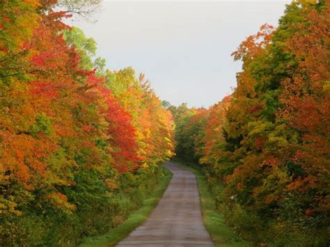 Here's the best way to see Michigan fall colors on your drive