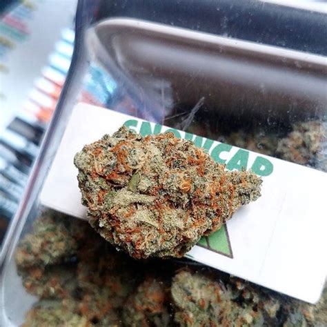 Snowcap Strain Information | Cannafo | Marijuana | Cannabis | Cannafo.com