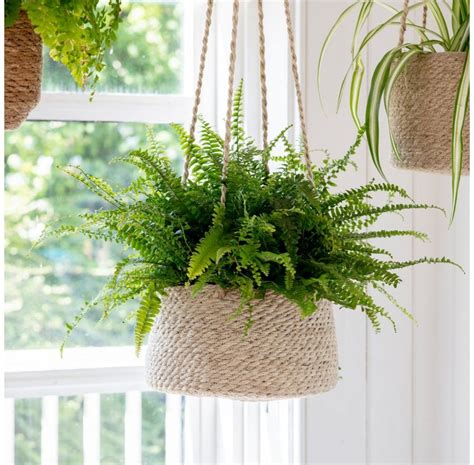 Jute Tapered Hanging Plant Pot - Gifts from Readers Interiors UK