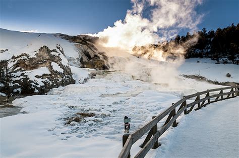 Winter Yellowstone Adventure Package | Spring Creek Ranch | Jackson ...