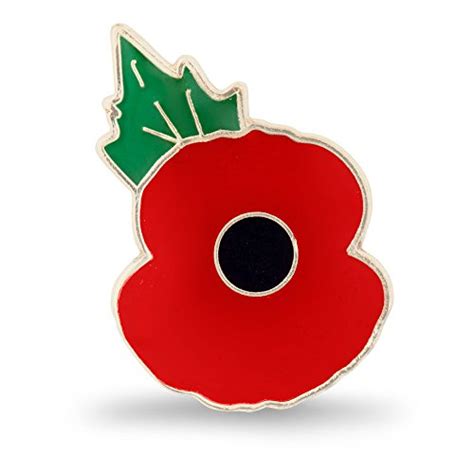 Poppy Pin: Amazon.co.uk