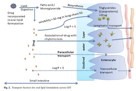 Lipid-Based Oral Formulation Strategies for Lipophilic Drugs - Pharma Excipients