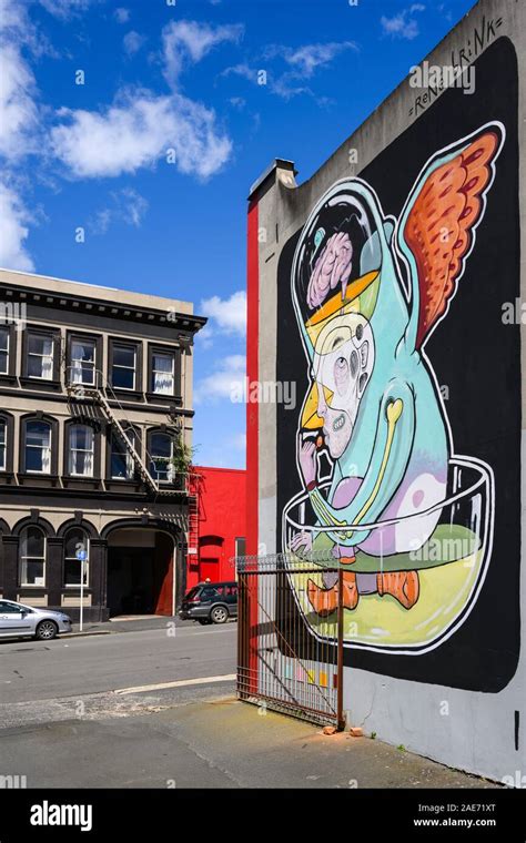 Mural (2018) by René Brink, commissioned by Dunedin Street Art organisation in Stafford Street ...