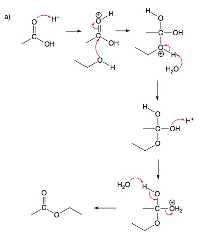 Write a detailed mechanism for a. the Fischer esterification of acetic acid with ethanol in the ...