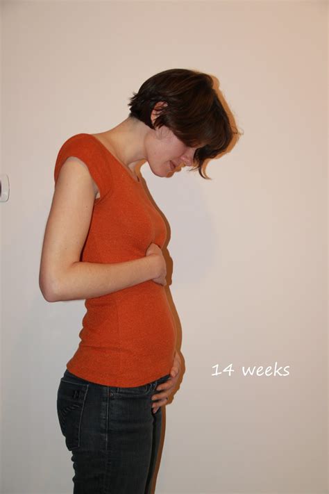 14 weeks pregnant – The Maternity Gallery