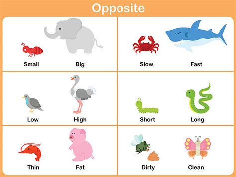 Fast Animals Slow Children Illustrations, Royalty-Free Vector Graphics & Clip Art - iStock