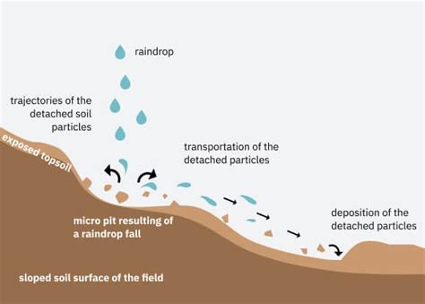 Water Erosion: Different Types And Prevention Measures