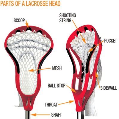 Lax and the City: What To Look For In A Lacrosse Stick