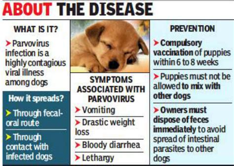 What Is Parvovirus? | IAS Abhiyan