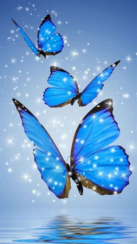 Blue Butterfly Wallpaper For Phone 1080x1920 698198748463426497 | Papel de parede borboletas ...