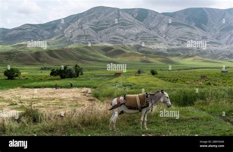 Razavi Khorasan,m Iran - May 30, 2019: Landscape in the province of Razavi Khorasan with green ...