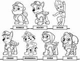 Paw Patrol Image coloring Page  Download Print Or Color Online For Free sketch template