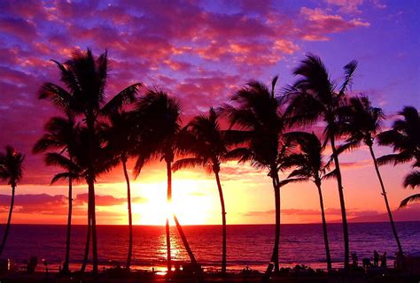 Beach Maui Hawaii Sunset Ocean Tropical Paradise Nature [] for your ...