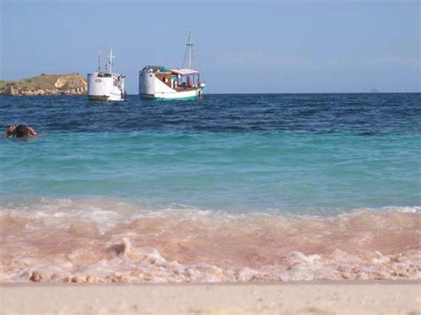 Pink Beach Flores | 1001 Islands