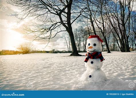 Smiling snowman at sunset stock image. Image of landscape - 70530015