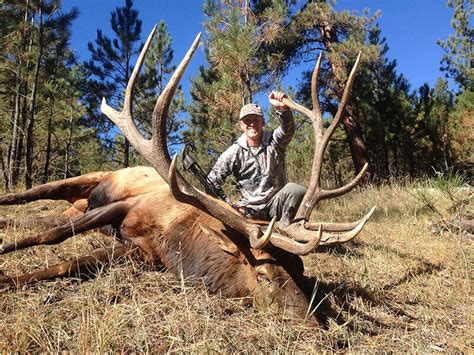 World Class Elk Hunt In Montana