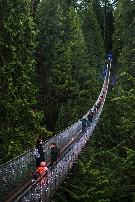 [밴쿠버여행] 린캐년 파크 서스펜션 브릿지 Lynn canyon park & Suspension bridge 산책 : 네이버 블로그