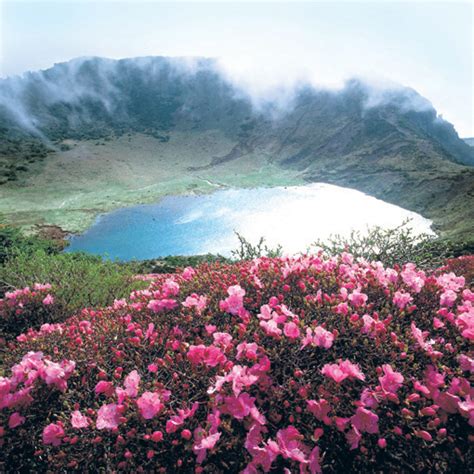 Jeju Volcanic Island and Lava Tubes - Hawaiʻi Volcanoes National Park ...