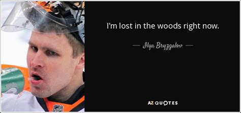 Ilya Bryzgalov quote: I'm lost in the woods right now.