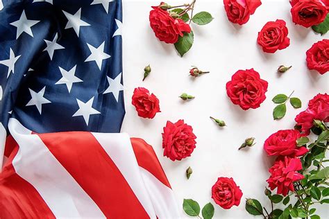 What Is The National Flower Of The USA? - WorldAtlas