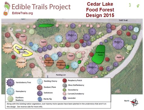 The Forest Gardens - Edible Trails Project