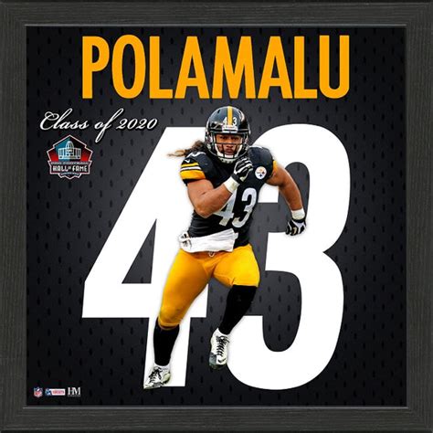 Troy Polamalu Jersey Number Frame #43 | Pittsburgh Steelers – PG Store