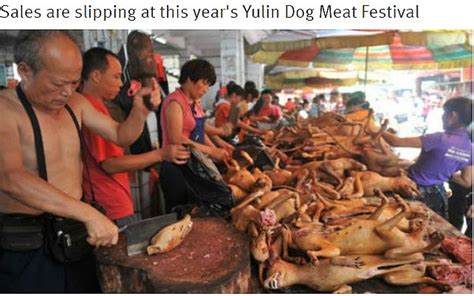 中国の「犬肉祭」始まる 客足が低調で参加したレストランが悲鳴 - ライブドアニュース