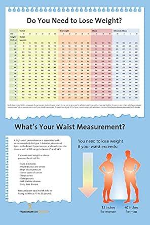 BMI Chart and Waist Measurement Poster 12"x18" Exam Room Small Room Size: Amazon.com: Industrial ...