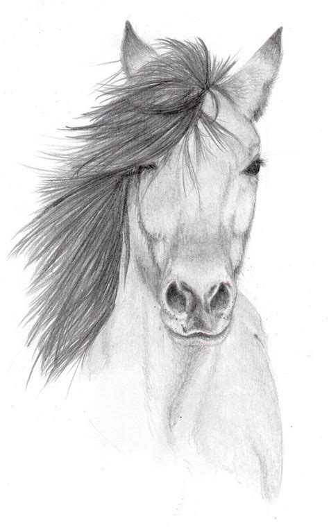 Easy Pencil Drawing Images Animals - Goimages U