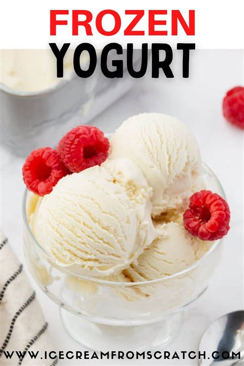 Easy Homemade Frozen Yogurt - Ice Cream From Scratch