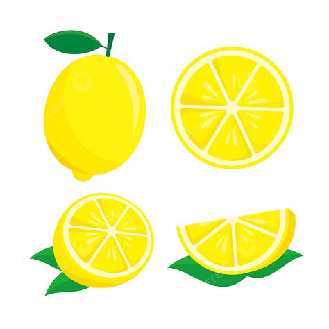 Lemon Isolated Vector Art PNG, Lemon Fruit Vector Illustration Isolated On White Background ...