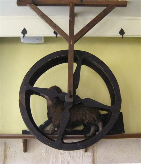 #61 Turnspit Dogs