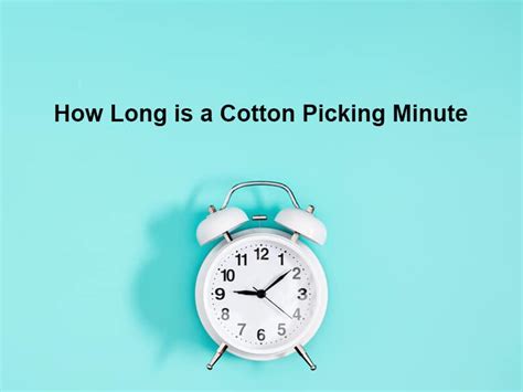 How Long is a Cotton Picking Minute – (And Why)?